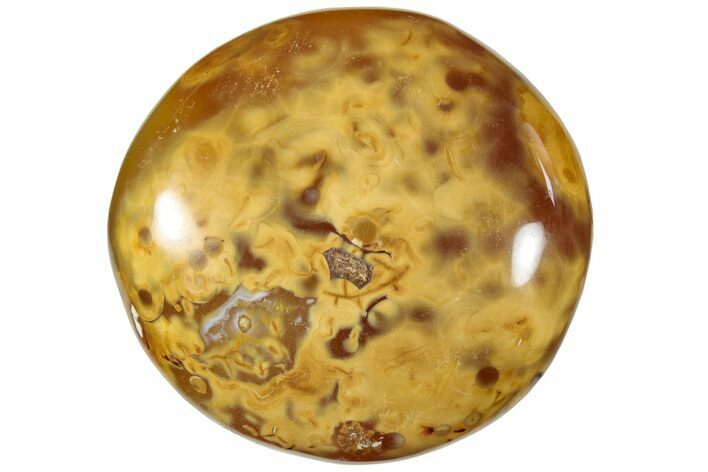 Colorful, Polished Carnelian Agate Palm Stone - Madagascar #185827